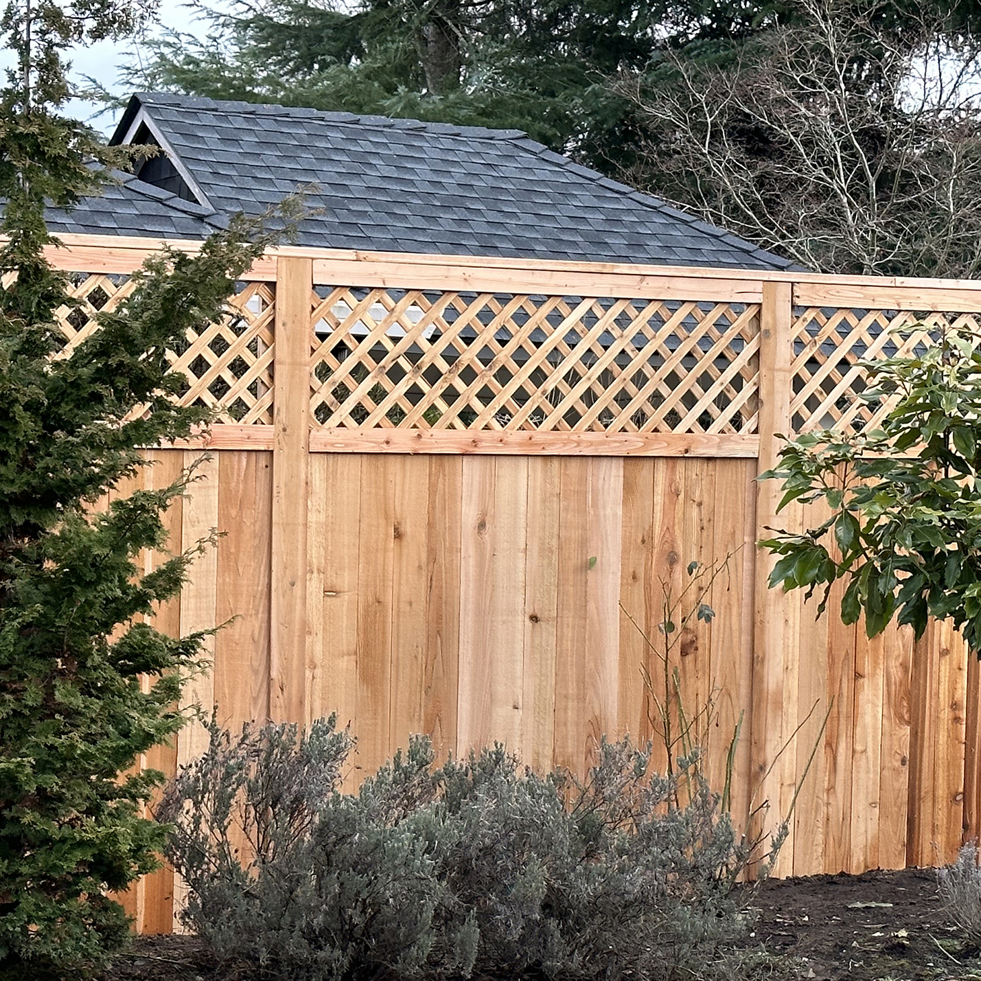 Lattis Cedar Fence by The Best Fence Company Square