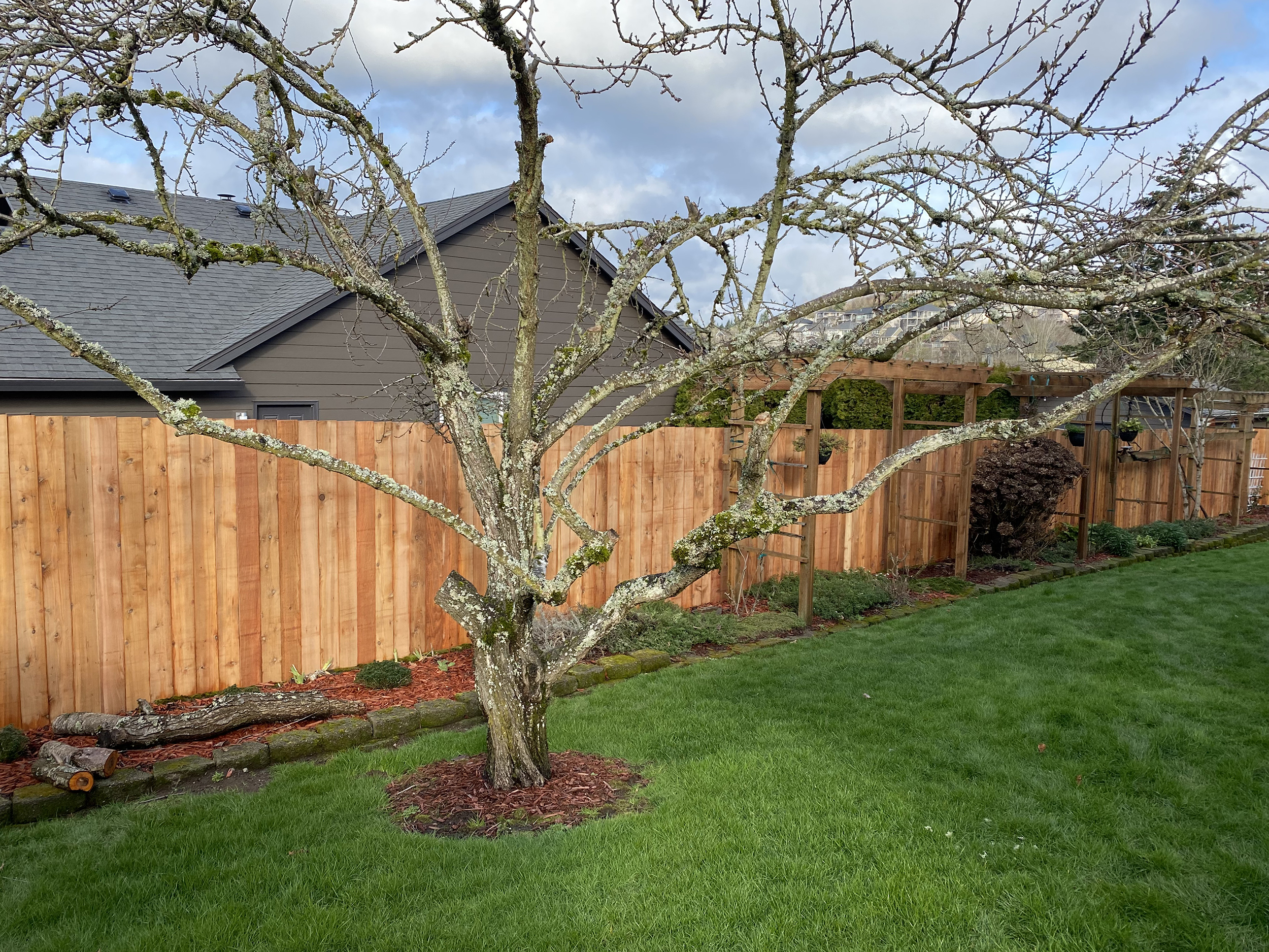 The Best Fence Company Cedar Fence with Arbor